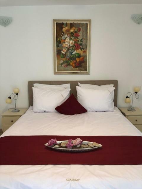 Academy Hotel Venus Dış mekan fotoğraf