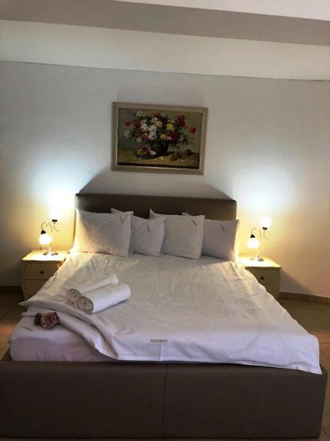 Academy Hotel Venus Dış mekan fotoğraf